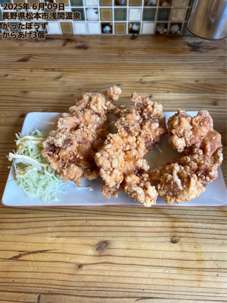「からあげ3個」@ラーメン屋 がったぼうずの写真