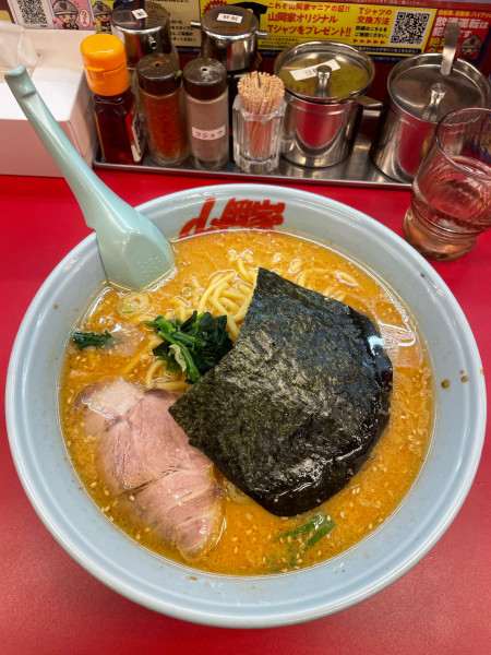 「濃厚味噌ラーメン」@ラーメン山岡家 青梅店の写真