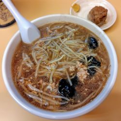 もやしラーメン 1000円 シューマイ 250円