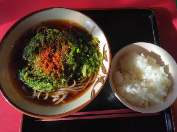 「モーニングパクチー天そばセット490円」@スマル亭 東富士店の写真