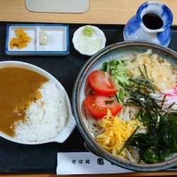 冷やしたぬき（900円）＋ミニカレー（350円）