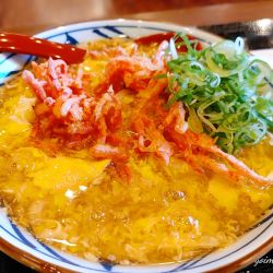 丸亀製麺 東松山の画像