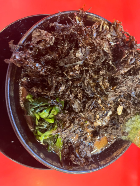 「ラーメン(並)＋フォロワーもやし」@横浜家系ラーメン 大輝家の写真