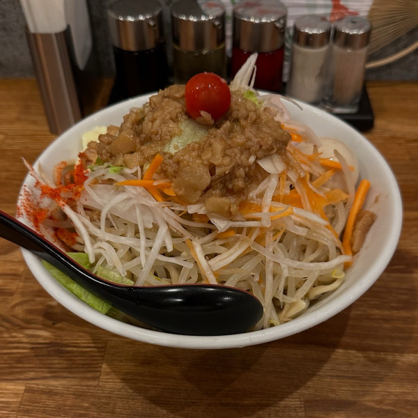 「ガッツリ冷やし中華」@麺処 青野の写真