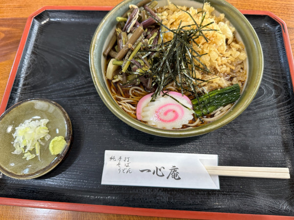 「冷やしたぬきそば（並盛）1,000円」@一心庵の写真