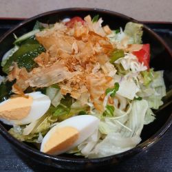 サラダうどん 950円