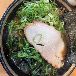 ラーメン(並)950円＋九条ネギ200円