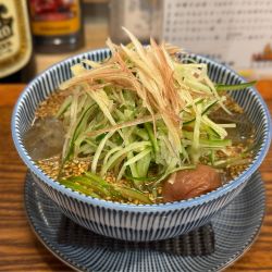 冷たい精進中華そば ¥1420