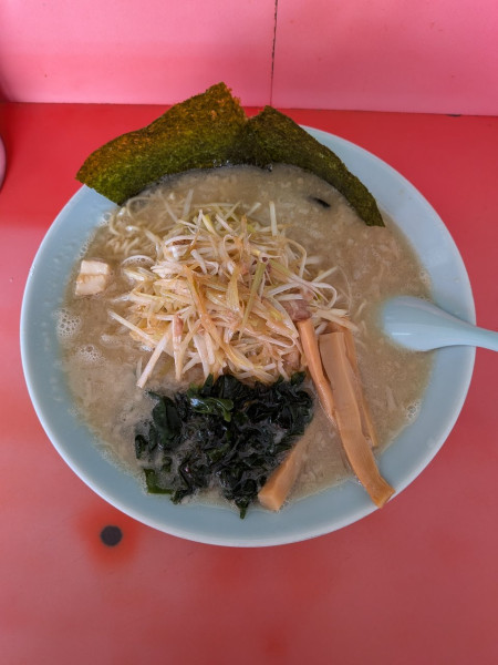 「ネギラーメン」@ラーメンショップ 下大野店の写真