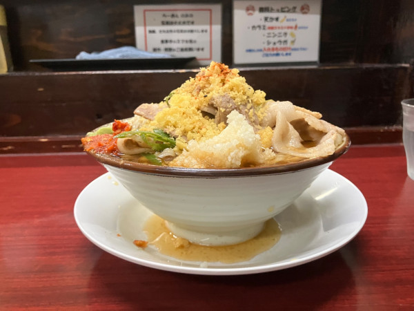 「冷やし肉めん(全部とわさび)790円」@肉めん 肉めし すず気の写真