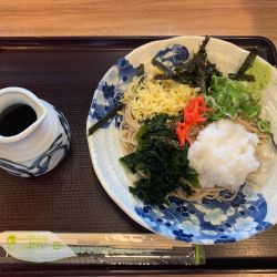 おろしぶっかけそば（冷）