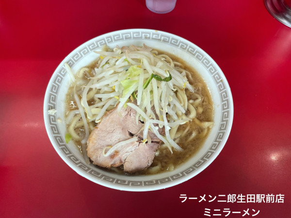 「ミニラーメン」@ラーメン二郎 生田駅前店の写真