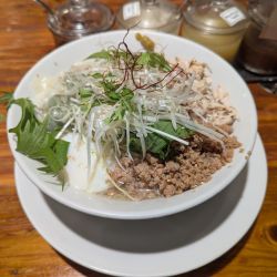 冷やし塩鶏わんたんめん