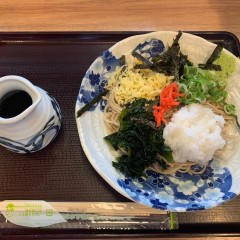 若菜そば 阪急西宮北口店の画像