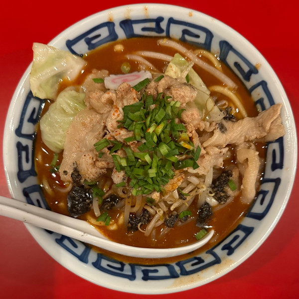 「七転八起麺」@七転八起の写真