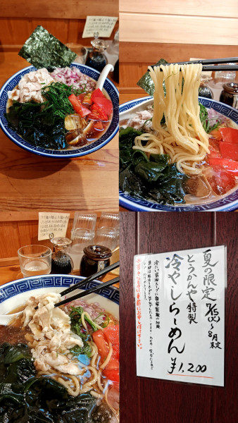 「限定『冷やしらーめん+大盛(￥1200+100)』」@ラーメン トウカンヤの写真