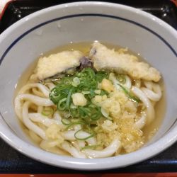 冷やかけうどん+ぶり天ぷら