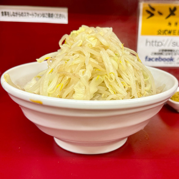 「少なめより少なめラーメン ¥920 和っカレー ¥120」@ラーメン二郎 相模大野店の写真