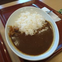 和風カレー