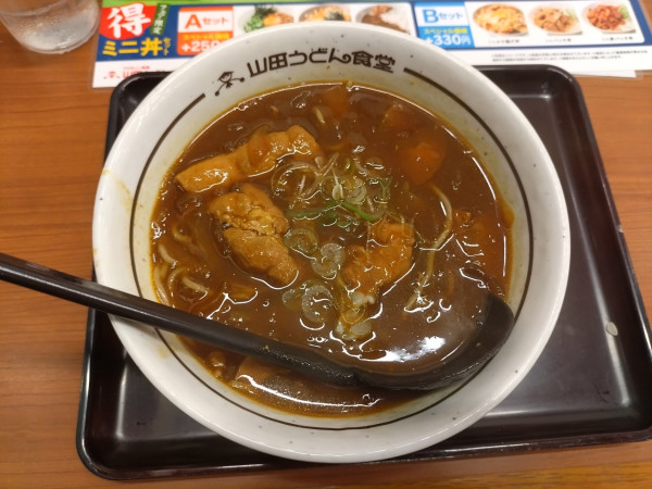 「鶏肉の和風カレーそば770円」@山田うどん 亀井野店の写真