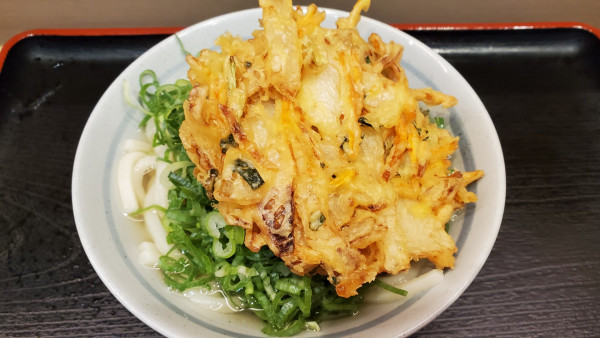 「ネギ盛りうどん、かき揚げ」@本場さぬきうどん 親父の製麺所 浜松町店の写真