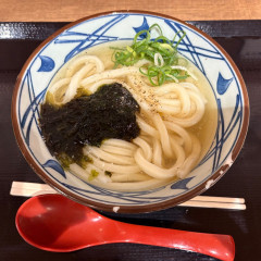 丸亀製麺 イトーヨーカドー船橋店の画像