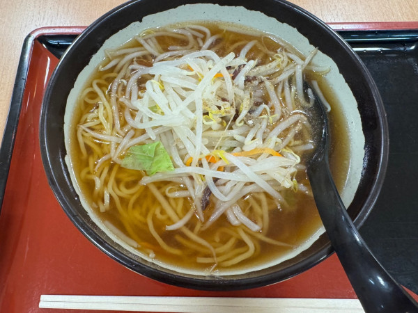 「もやしラーメン」@ホテーフーヅ 伊那店の写真