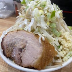 ミニラーメン・ヤサイニンニクネギ:1300円