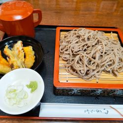 田舎そば（大）天ぷら3点盛り