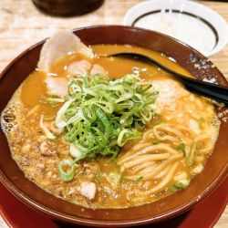 期間限定　チーズカレー＋白ごはん