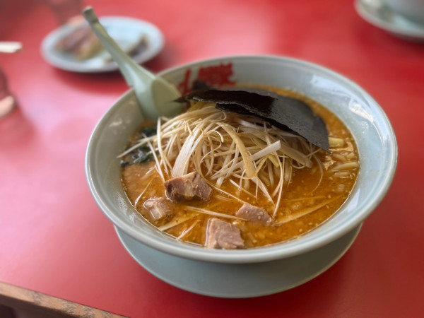 「特製みそネギ背脂ラーメン」@ラーメン山岡家 長野南長池店の写真