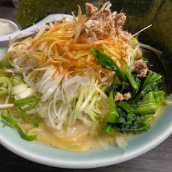 醤油ネギラーメン＋のり＋味玉