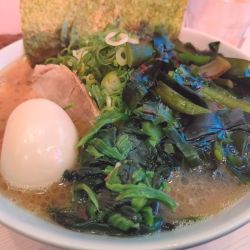 ラーメン＋九条ねぎ＋穂先わかめ