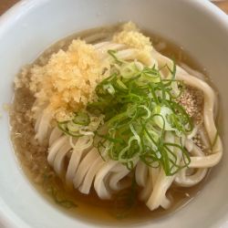ぶっかけうどん 冷、ありあり
