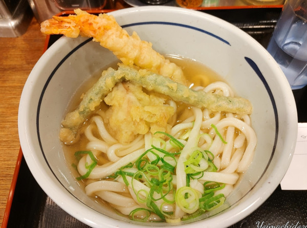 「温「並」天ぷらうどん（630円）」@おにやんま 日本橋店の写真