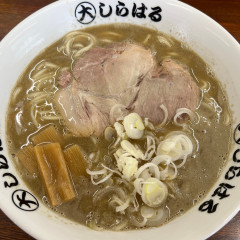 ◯大しらはるの画像