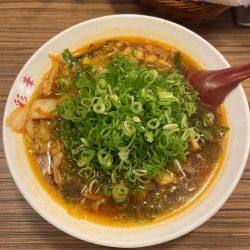 サイカラーメン青ネギ入り小（950円）