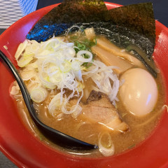 土佐二刀流の画像