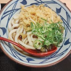 かけうどん（並）