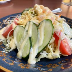 サラダ冷麺　￥８８０