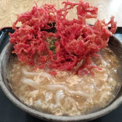 鶏卵うどん+紅しょうが天