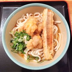 冷「大」とりちくわ ぶっかけ 790円