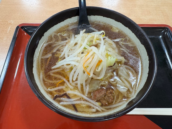 「もやしラーメン」@ホテーフーヅ 伊那店の写真
