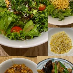 冷やしサラダ担々麺・他
