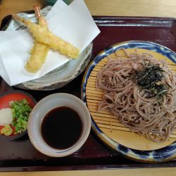天ざるそば1050円