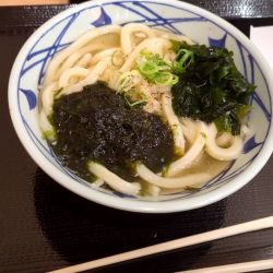 冷たい海苔旨塩うどん