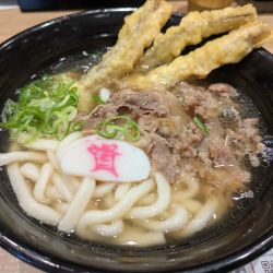 肉ごぼう天うどん(760円)