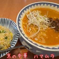 タンタンメン+ハーフ炒飯(1089+319円)