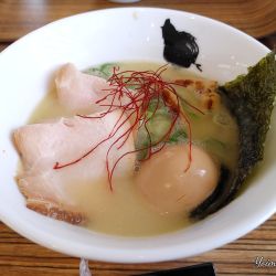 濃厚鶏白湯　鶏白～とりしろ～（細麺：990円）、替玉（100