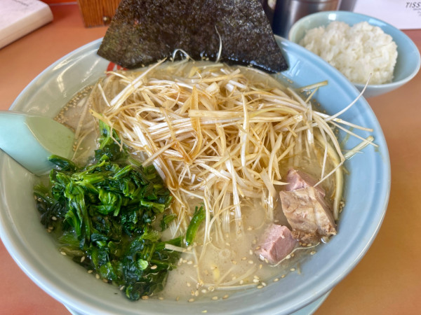 「ネギラーメン 塩  TPネギ(ダブル)」@ラーメン山岡家 上尾店の写真